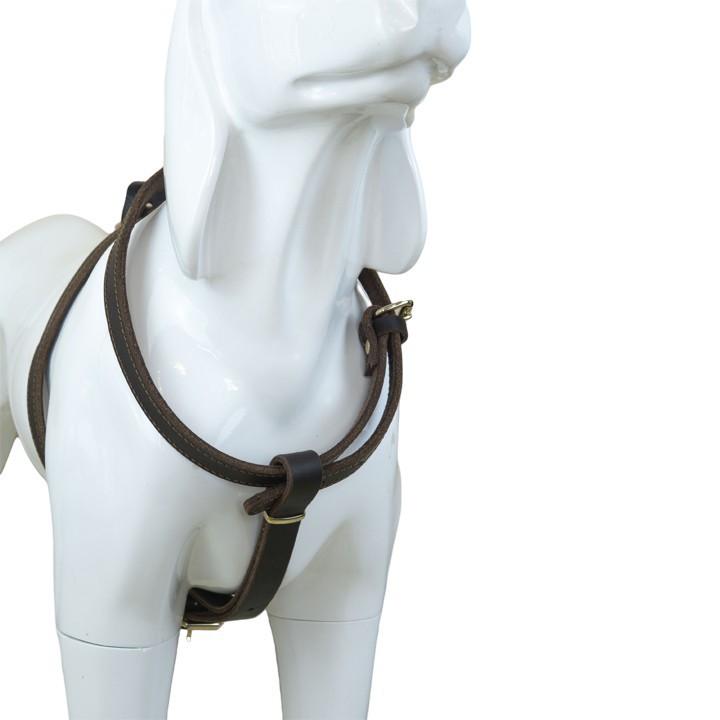Adjustable Dog Harness in Genuine Leather