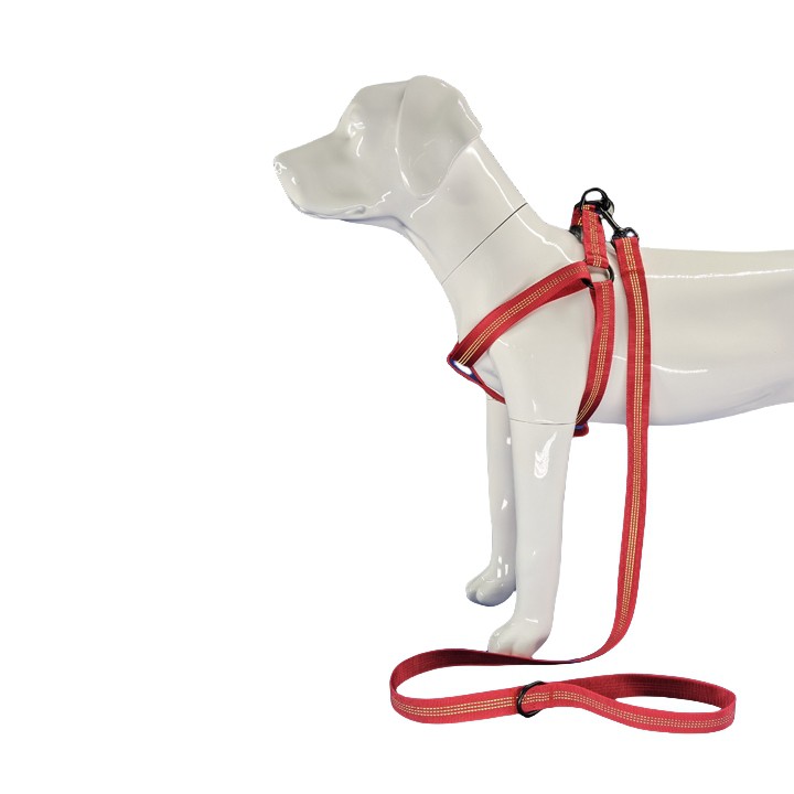 Oprema za crvenog psa koja reflektira svjetlo