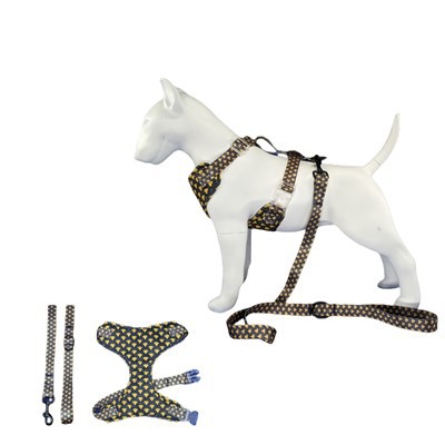 Boy Dog Harness