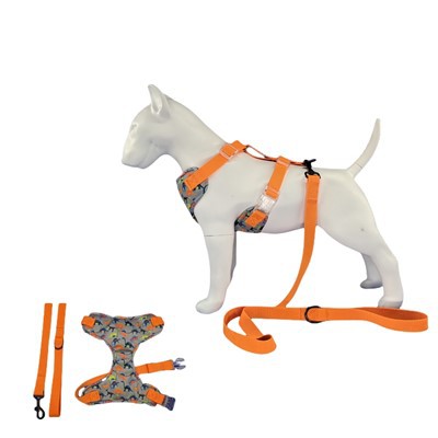 Oprema za pse dinosaurusa