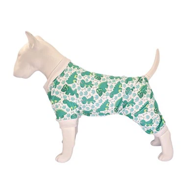 Dinosaurus pas pidžama