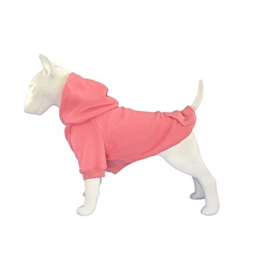 DIY Blank Dog Hoodie