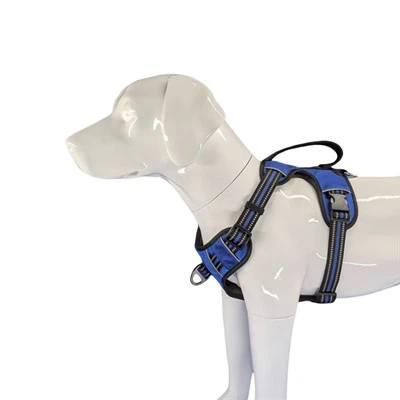 Oprema za pse za teške uslove rada