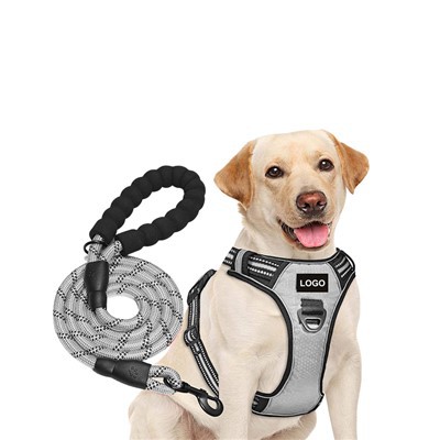 Prilagođeni set pojasa za pse i povodca za pse