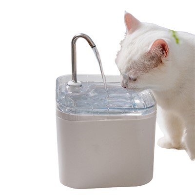 Mačja električna fontana