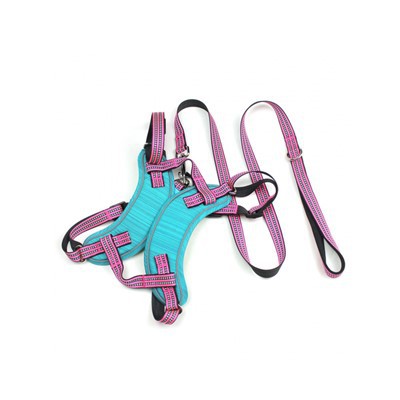 Garnitura za pse i povodac bez povlačenja