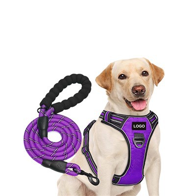 Personalizirani set povodca za pse s logotipom i užetom