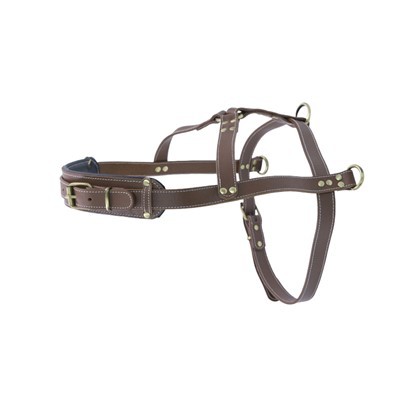 Vrhunski kožni pojas za velike pse