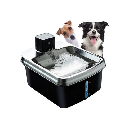 Pametna fontana za pse